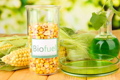 Newcastle biofuel availability
